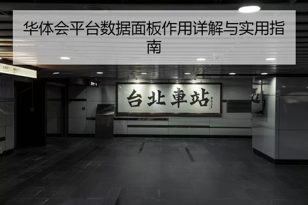 华体会平台数据面板作用详解与实用指南