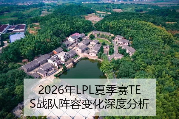 2026年LPL夏季赛TES战队阵容变化深度分析
