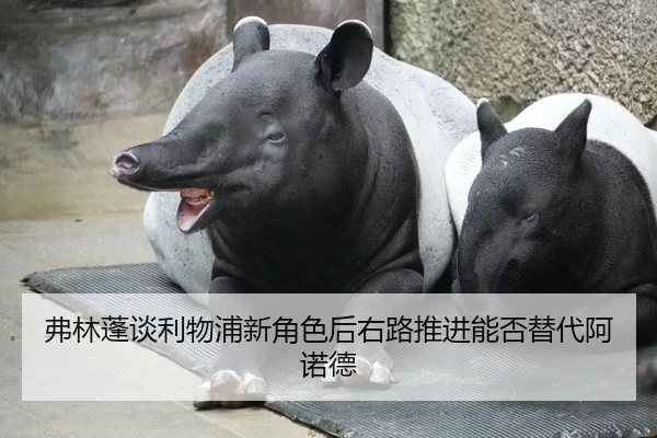 fu-lin-peng-tan-li-wu-pu-xin-jue-se-hou-you-lu-tui-jin-neng-fou-ti-dai-a-nuo-de-2-123.jpg