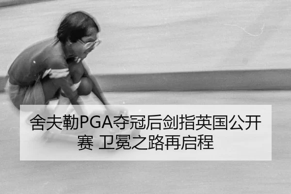 she-fu-lei-duo-guan-hou-jian-zhi-ying-guo-gong-kai-sai-wei-mian-zhi-lu-zai-qi-cheng-3-815.jpg