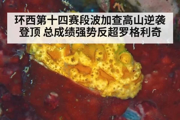 环西第十四赛段波加查高山逆袭登顶 总成绩强势反超罗格利奇