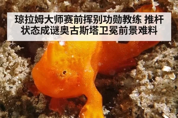 琼拉姆大师赛前挥别功勋教练 推杆状态成谜奥古斯塔卫冕前景难料